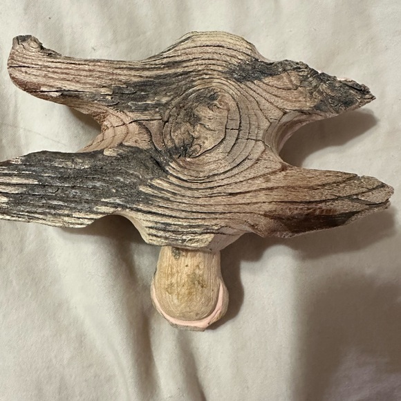 Handmade turtle - Picture 3 of 3